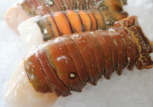 rock lobster tails