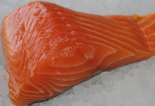 salmon