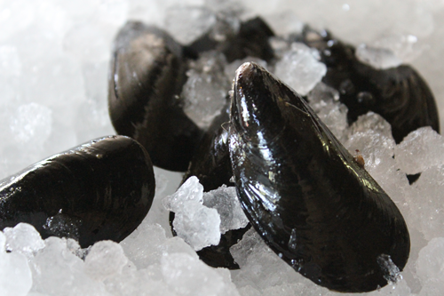 pei mussels